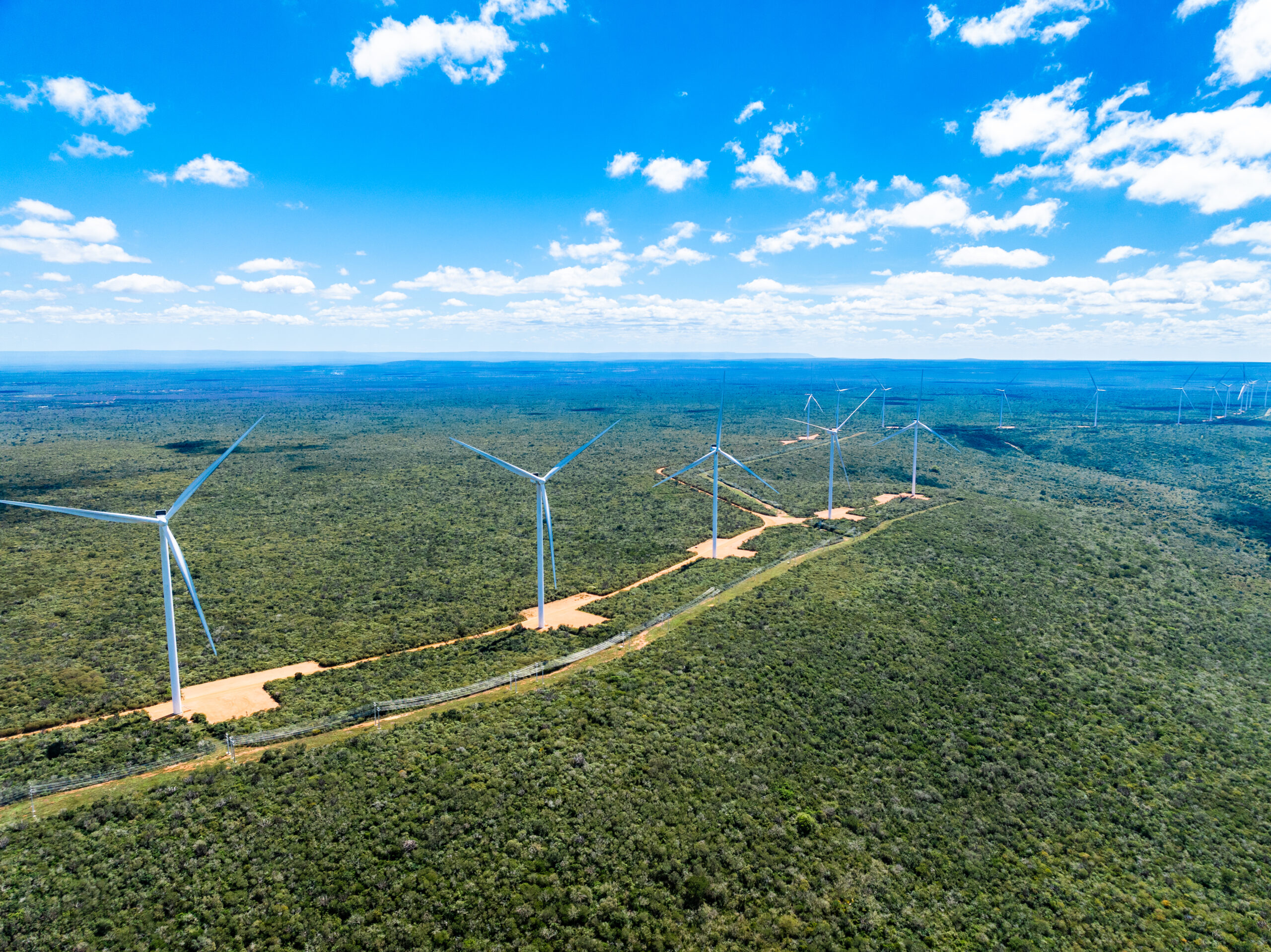 A força do Nordeste na geração eólica da EDF power solutions
