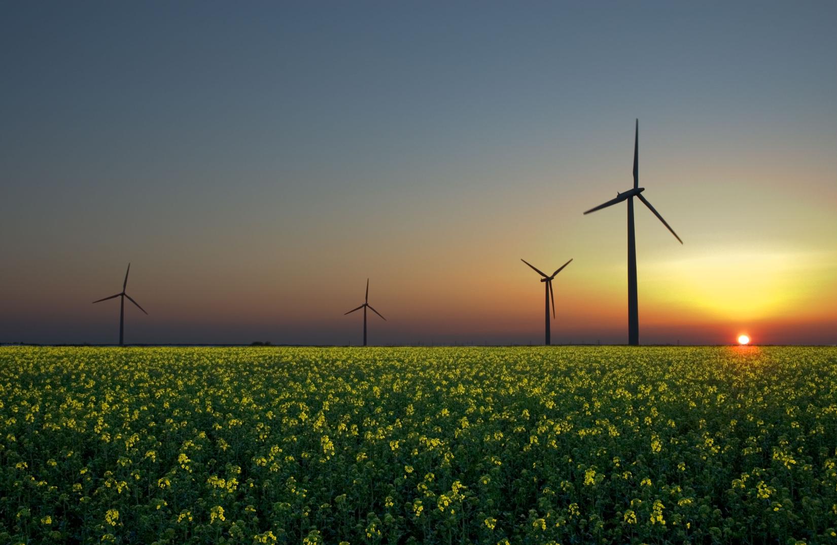 O impacto das energias renováveis na mitigação das mudanças climáticas