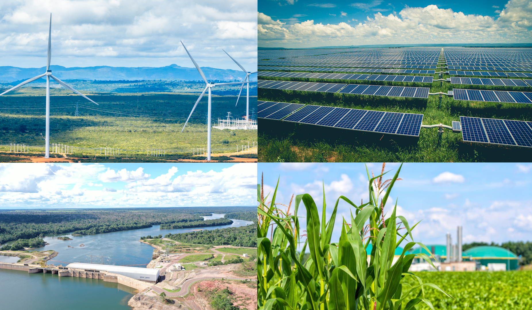 Você conhece a composição da matriz elétrica brasileira?